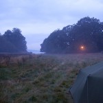 IMG_7321